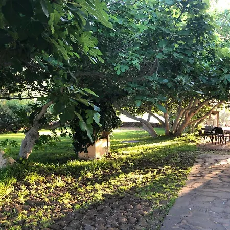 Casa Los Vinedos * Las Toscas